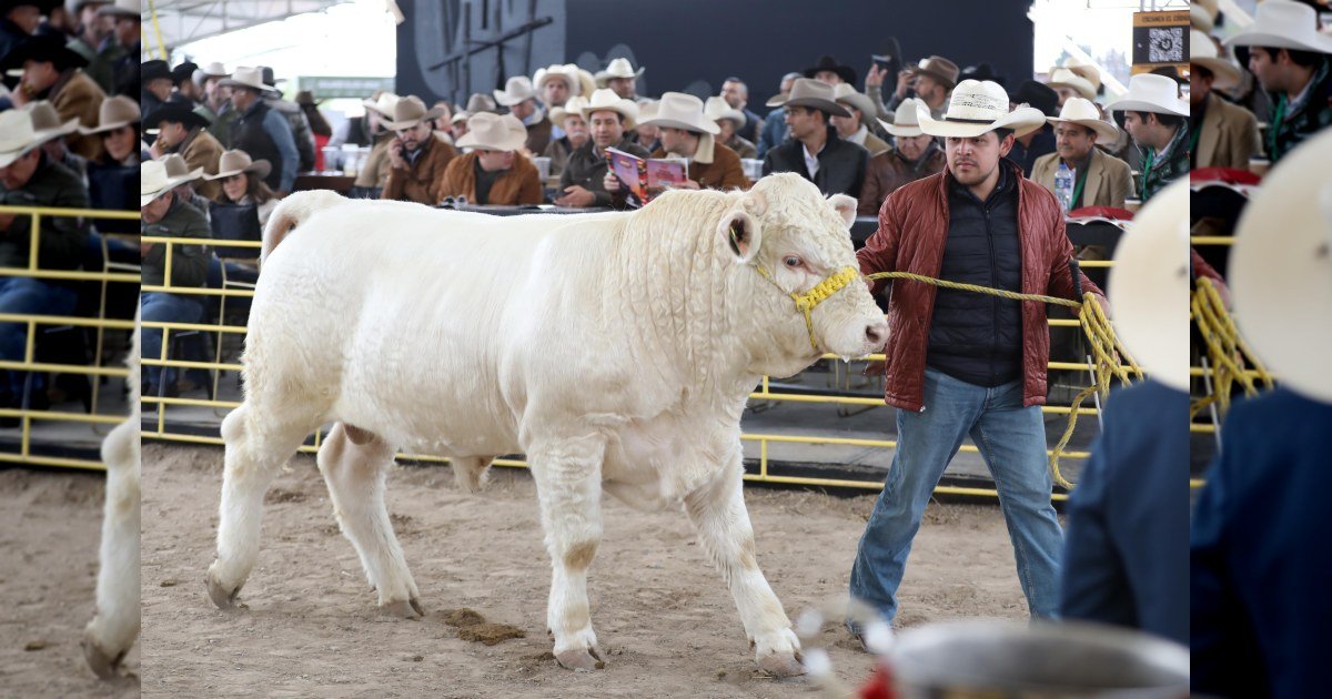 ¡Todo un éxito el Rodeo Saltillo 2026! · Fotografía 1