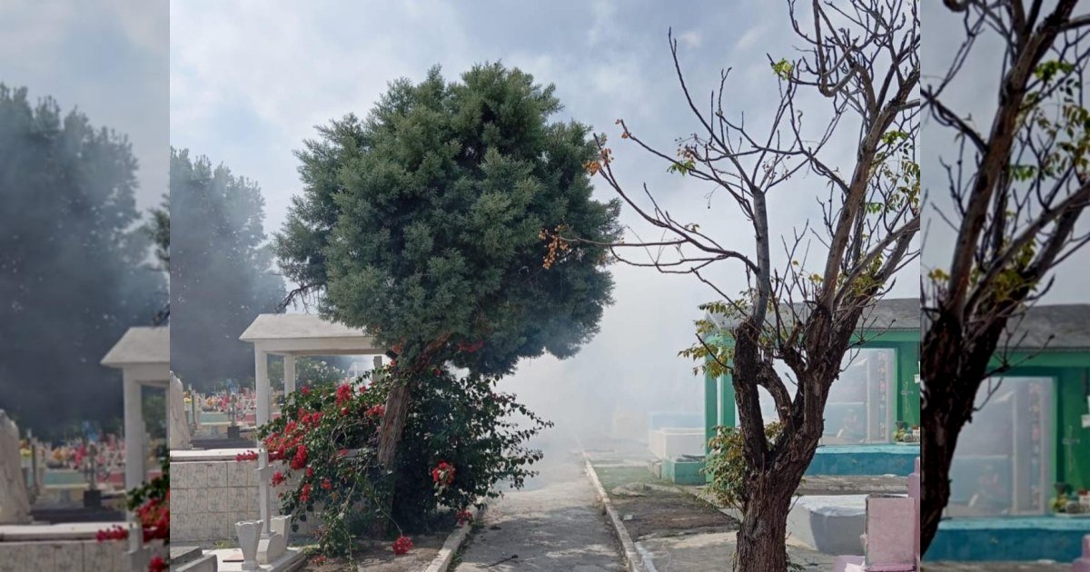 Realiza Salud Pública fumigación en panteones municipales · Fotografía 1
