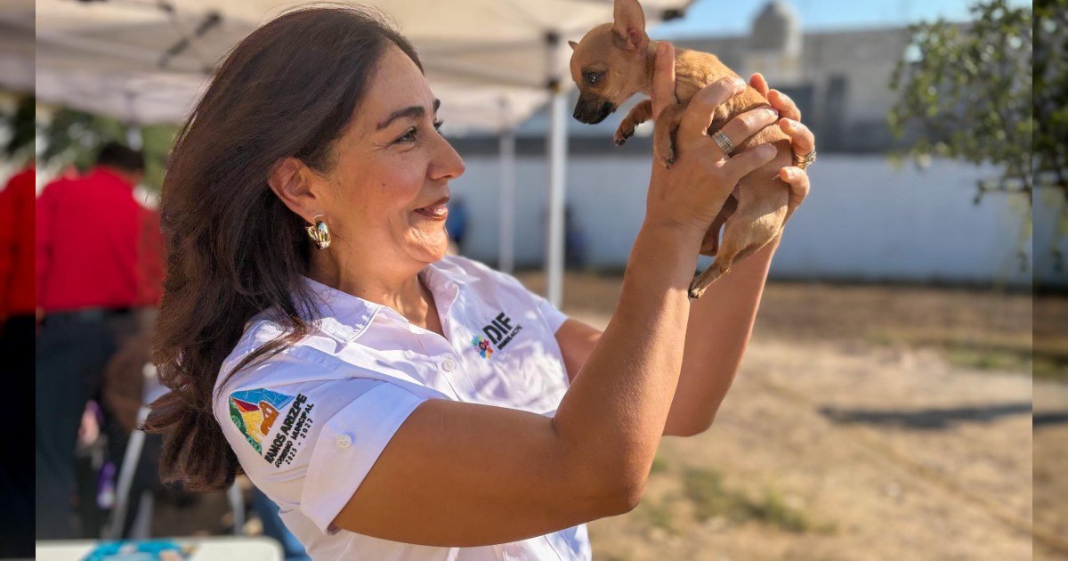 Cuidar a las mascotas también es cuidar a las familias · Fotografía 2