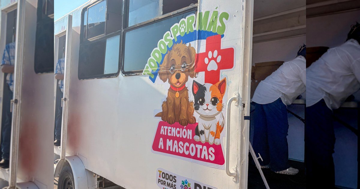 Cuidar a las mascotas también es cuidar a las familias · Fotografía 1