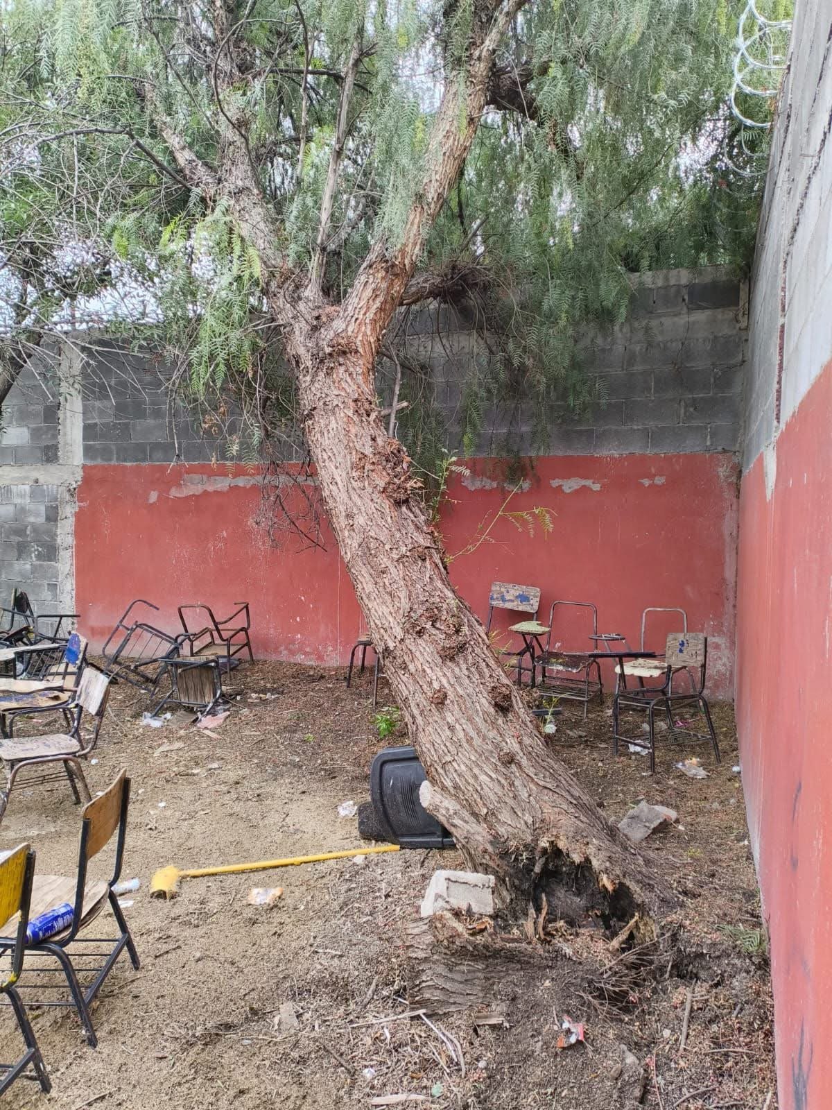 Reporte de caída de ramas y árboles en la escuela Nueva Patria de Saltillo
