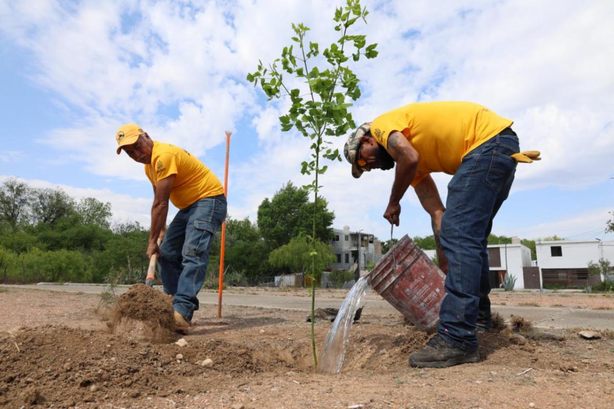 ac7e4613-eb8a-4f84-aa30-4fb69e6eac0b